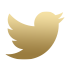 IPLWin Twitter icon for accessing the official Twitter page to stay updated with news, promotions, and discussions.